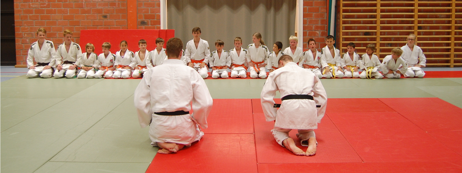 Onze judo trainers